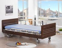 D-02A 豪华型木饰板型三马达床-JP